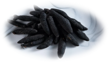 紐西蘭小刺參 200g