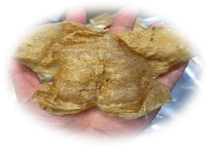 澳洲石斑花胶 L 200g