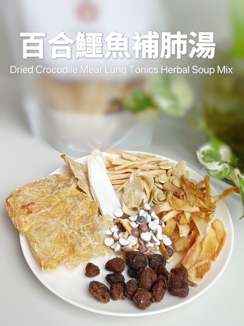 百合鱷魚補肺湯 Dried Crocodile Meat Lung Tonics Herbal Soup Mix