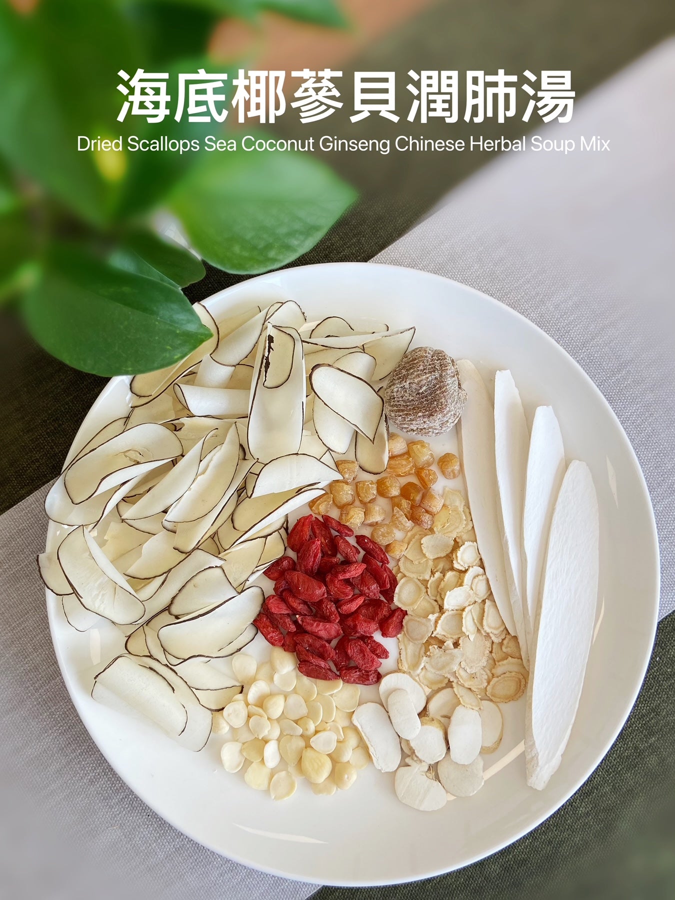 海底椰蔘貝潤肺湯 Sea Coconut and Ginseng Herbal  Soup Mix (140g)